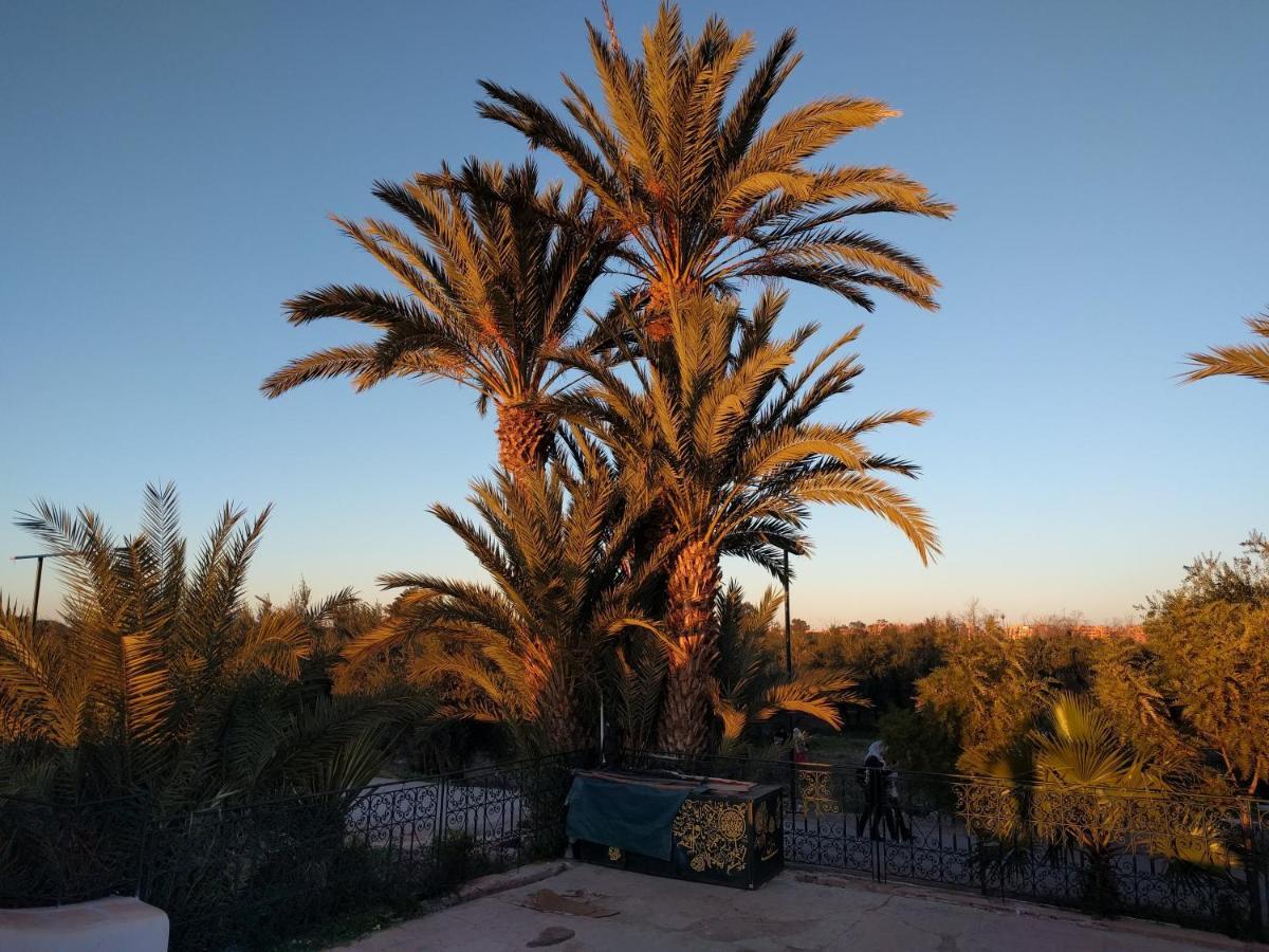 Opera Appartement, Hivernage Marrakech. Marraquexe Exterior foto